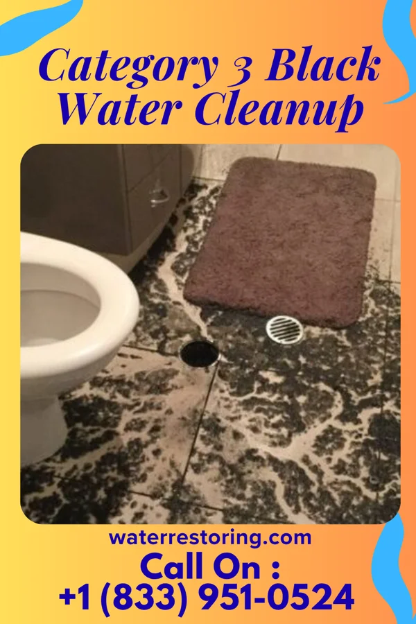 Category 3 Black Water Cleanup in Gainesville, GA
