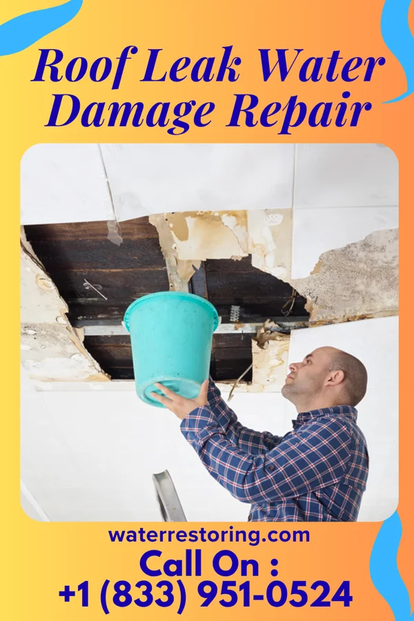 Roof Leak Water Damage Repair in Gainesville, GA